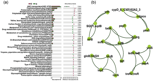 Figure 6. PICRUSt2 prediction analysis. (a) Influence of NaClO disinfection on bacterial abundance assessed using KEGG pathways of bacterial communities, only pathways that were significantly affected are presented. (b) Network plots of correlation analysis between genes associated with these pathways, only correlations ≥ 0.7 were presented.