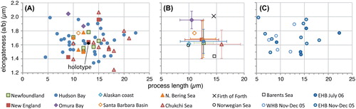 Figure 4. Scatter diagram showing antapical process length against elongateness (i.e. the ratio between cyst length and cyst width) for measured elongate Spiniferites cysts. The holotype is shown for reference (black dot). A, Data for all individual measurements from surface sediments. B, Average values for each regional surface sediment assemblage, with the standard deviation indicated. Also shown are the values from Harland and Sharp (Citation1986) for specimens recovered from the Firth of Forth (UK), and the Norwegian and Barents seas. C, Individual measurements for the specimens recovered from sediment traps in eastern (EHB) and western (WHB) Hudson Bay.