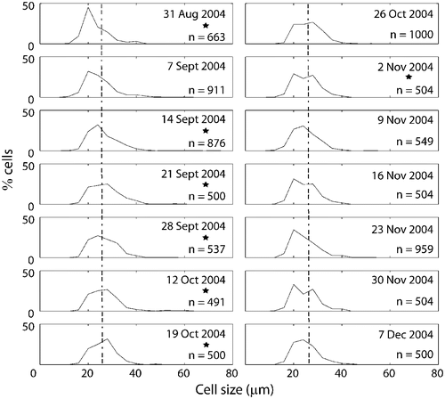 Fig. 16. Size frequency distributions of populations of Ditylum brightwellii from Wadsworth Cove by sampling date. The stars denote presence of spermatogonangia and the dotted line is the upper size limit for gametogenesis observed in lab experiments.