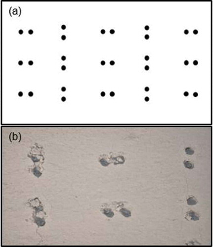 Figure 4. Physical disturbance of the test trays. (a) A schematic of the board embedded with nails used to physically disturb the test trays. (b) A close-up of an LN tray after physical disturbance.