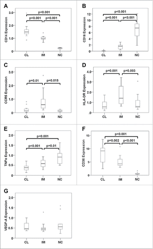 Figure 4. Gene expression profile of monocyte subsets from mCRC patients prior to therapy. Classical (CL), intermediate (IM) and non-classical monocytes (NC) from mCRC patients before neoadjuvant treatment were isolated by gradient centrifugation, CD14/CD16 immunostaining and fluorescence-activated cell sorting. Expression of genes involved in monocyte function was determined at the mRNA level by quantitative real-time PCR. Values were normalized to the housekeeping gene β-actin and were calculated in relation to a consistent control sample. Transcripts of (A) CD14, (B) CD16, (C) CCR5, (D) HLA-DRA, (E) TNFα, (F) CD36 and (G) VEGF-A were assessed. Statistical analysis was based on the paired t-test. Please note that boxplot E does not show an extreme value (5.9) of TNFα expression in classical monocytes (scale adjusted to improve resolution) which was, however, included in the statistical evaluation.