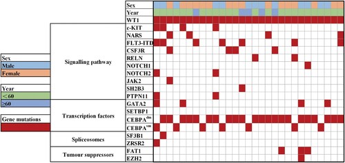 Figure 2. Spectrum of acquired co-mutations in 29WT1 mutated patients with CEBPA mutated AML divided into different mutational categories. Each bar represents a distinct driver gene.
