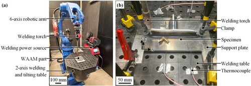 Figure 6. (a) Experimental setup inside the robotic welding chamber; (b) detailed view of the specimen; z is the build-direction.