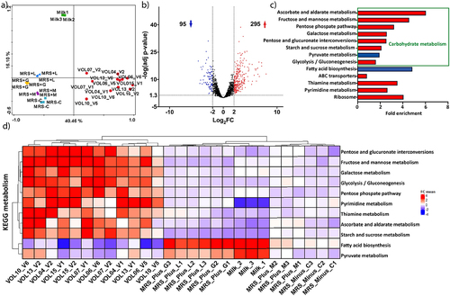 Figure 3. Transcriptome analysis of L. rhamnosus recovered from small intestinal effluent compared with in vitro conditions. a) Principal component analysis of L. rhamnosus transcriptome samples; separating the in situ samples from the MRS samples that also separate from the milk grown samples (green dots). b) volcano plot of the differential expression analysis performed via edgeR, in blue and in red downregulated (blue) and upregulated (red) genes in situ compared to in vitro; cut-off: FDR adjusted-p-value≤0.05, Log2FC≥2. c) Gene Set Enrichment Analysis (GSEA) using the differentially expressed genes (enrichment cut-off, p-value < 0.05; fold enrichment is given as the ratio between “hits” and “expected hits” on the selected gene category) identifies 13 KEGG categories, of which 11 belong to “Metabolism” encompassing 8 belonging to “Carbohydrate metabolism” (green box). Bar colours represents an average gene expression per pathway higher (red) or lower (blue) in situ compared to in vitro condition; d) heatmap of the expression of enriched pathways belonging to the KEGG category “Metabolism”, for each pathway, the average gene expression per volunteer was used to calculate the fold change from the row mean; hierarchical clustering: complete linkage based on Euclidian distances. Among the overrepresented gene sets, only two (Fatty acid biosynthesis and Pyruvate metabolism) had a higher expression in vitro than in situ, while the remaining 9 were higher expressed in situ.