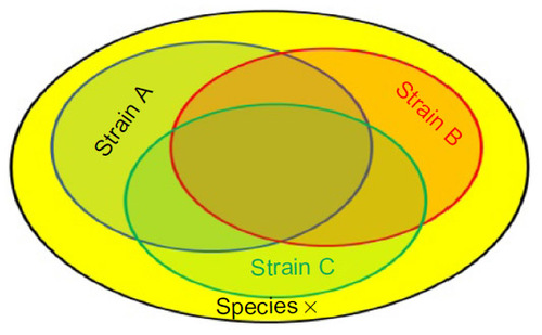 Figure 1 Schematic representation of common properties of different strains within a given species.