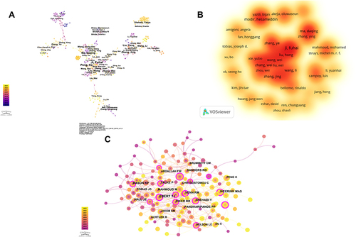 Figure 5 Authors analysis on dexmedetomidine. (A) The cooperation networks between different authors; (B) The density visualization map of authors based on VOSviewer; (C) The cooperation networks between different cited authors.