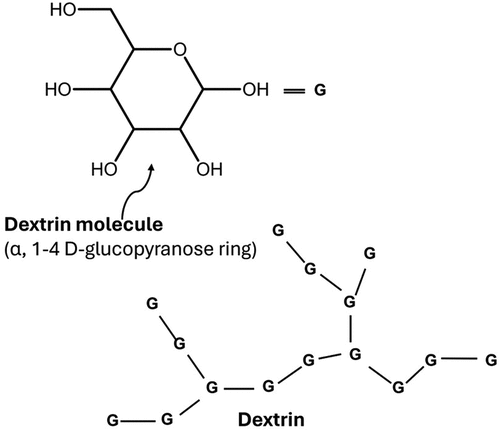 Figure 4. Schematic structure of dextrin with glucose monomeric units (G) linked through 1–4 glycosidic joints for straight chains and 1–6 joints for branched chains (redrawn from Brossard, Du, and Miller Citation2008).
