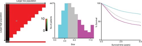 Figure 3 X-tile analyses of 5-year cause-specific survival were performed by using patients’ data to determine the optimal cutoff values for tumor size.Notes: Tumor size was treated as category variable for each 1 cm. The sample of gastric cancer patients was equally divided into training and validation sets. X-tile plots of training sets are shown in the left panels, with plots of matched validation sets shown in the smaller inset. The optimal cutoff values highlighted by the black circles in left panels are shown in histograms of the entire cohort (middle panels), and Kaplan–Meier plots are displayed in right panels. P-values were determined by using the cutoff values defined in training sets and applying them to validation sets. The optimal cutoff values were 3 and 6 cm (P<0.001).