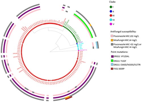 Figure 1. WGS SNP and resistance gene mutation analysis of 115 invasive, environmental and colonizing South African Candida auris strains collected between 2009 and 2018 during national laboratory-based candidemia and Candida auris surveillance, an environmental survey and a neonatal unit outbreak. There were 211 626 SNPs in total with a coverage breadth of 62% and this is an unrooted maximum parsimony tree with 500 bootstrap replicates. The consistency index was 0.89 and the number of phylogenetic sites were 211 626. Circles represent invasive isolates, red squares represent colonizing strains and the green square represents the one isolate from urine in 2018. The red triangles represent the environmental strains and the light blue star represents the first C. auris strain isolated in 2009.