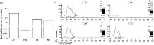 Fig. 5 Identification of the RNA content in exosome preparations. (a) Relative level of RNA per 108 particles in each preparation. Error bars indicate relative standard error of two experiments. (b) Representative electropherograms of exosome samples generated using the Experion system. Insets show RNA band pattern.