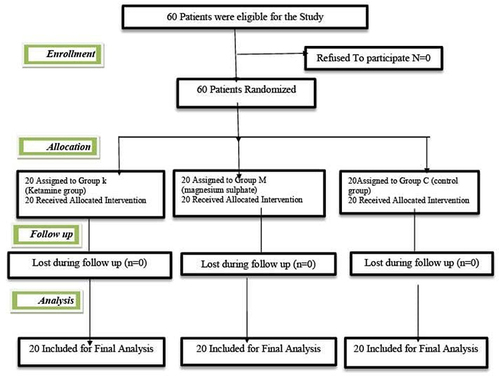 Figure 1 Participant flow chart of 60 female patients with breast cancer who underwent modified radical mastectomy were assessed for eligibility for our study. Twenty-patients in each group with no patient rolled out. Group (C): Control group (N=20) Group (M): magnesium sulphate group (N=20). Group (K): Ketamine group (N=20).