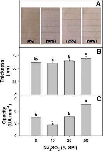 Figure 1. (a) Appearance, (b) thickness and (c) opacity of soy protein films activated with 0; 10; 25; y 50% w/w sodium sulfite on SPI basis. Different letters indicate significant differences based on a Tukey test at a level of significance of P < 0.05.Figura 1. (a) Apariencia, (b) grosor y (c) opacidad de las películas de proteína de soya activadas con 0; 10; 25; y 50% p/p sulfito de sodio con base en el SPI (aislado de proteína de soya). Las distintas letras indican la presencia de diferencias significativas con base en una prueba de Tukey a un nivel de significancia de P < 0.05.