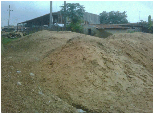 Figure 1. Typical heap of sawdust at a sawmill in southwestern Nigeria