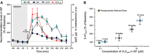 Figure 5 Pharmacodynamic effect of viloxazine in the PFC is concentration-dependent. (A) Effect of viloxazine on NE, DA, and 5-HT extracellular levels compared to viloxazine ISF concentrations in the PFC up to four hours post-administration of the clinically relevant dose, 30 mg/kg, of viloxazine. Dialysate samples (ISF) were collected at 30-minute intervals for determination of NE, DA, 5-HT, and viloxazine levels. Extracellular neurotransmitter concentrations are expressed as % of change relative to the pre-dosing level (% of Baseline) for each animal (blue symbols). All data are expressed as mean ± SEM. ISF concentration of viloxazine indicated in red. Arrow at time 0 represents the time of viloxazine administration. (B) Average percent increase in 5-HT in ISF (y-axis) compared to concentration of unbound viloxazine in the ISF (x-axis) for all experiments. Data represent mean ± SEM. Blue data points represent doses which are not known to be clinically relevant, while the green data points represent the clinically relevant doses.