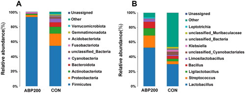 Figure 4. The microbial community in the ileal contents in 28-day-old pigeon squabs. Note: the percentage of microbial abundance at the phylum (a), and genus (B) levels in the ileum. Abbreviations: CON, Basal diet; ABP200, Basal diet supplemented with 200 mg/kg ABP MccJ25. (n = 4 pigeons).