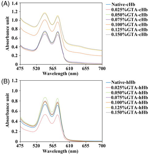 Figure 6. UV-Vis spectra of cHb (A) and hHb samples (B) were recorded at 475–700 nm at 25 °C.