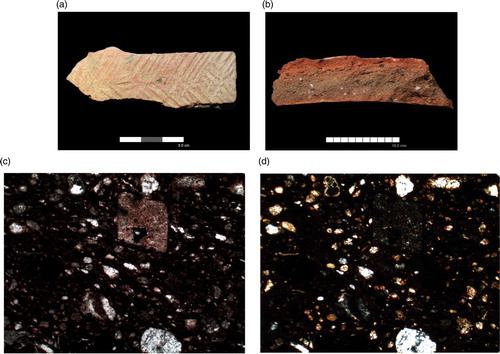 Figure 8 Imported pottery from the settlement at Heit el-Ghurab, Giza: petrography Group 3 — Calcareous, less iron-rich with foraminifera, Fabric P202. Exemplar — Sample 6, Combed jar body sherd (HeG Reg. 105925), square 4-E21, unit 22286, bakery, Gallery Complex, late 4th Dynasty.a. HeG Reg. 105925 (photo A. Wodzińska).b. Sherd fracture (photo J. Quinlan).c. Thin-section at plane-polarized light (PPL), 100x magnification (micrograph M. Ownby).d. Thin-section at cross-polarized light (XPL), 100x magnification (micrograph M. Ownby).Thin-sections show lack of sand-sized grains, brown chert inclusion at upper middle, and foraminifera at upper left.