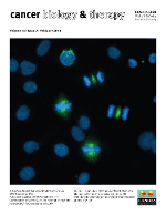 Cover image for Cancer Biology & Therapy, Volume 15, Issue 2, 2014