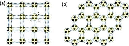 Figure 6. Fixed-point SPT states: (a) on the square lattice; (b) on the honeycomb lattice.