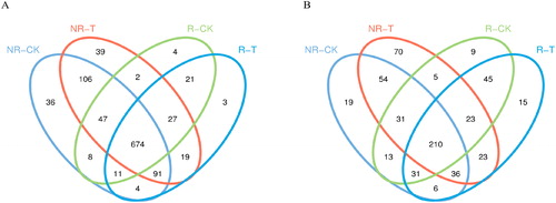 Figure 1. Venn diagram of the number of bacterial (A) and fungal (B) OTUs in different samples.