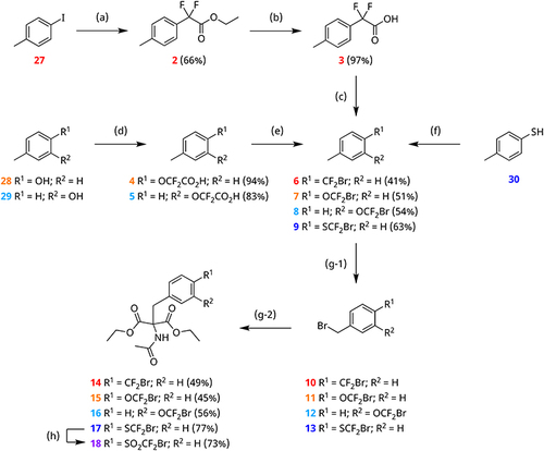 Scheme 1 Synthesis of 3-/4-methylbenzene derivatives containing the CF2Br moiety as precursors for amino acid synthesis. Reagents and conditions: (a) Ethyl bromodifluoroacetate, act. Cu0, argon atmosphere, 60 °C, 26 h; (b) 1 M aq. K2CO3/MeOH (1:1), rt, 18 h; (c) (1) (COCl)2, DMF (cat.), DCM, rt, 3 h; (2) DMAP, sodium-N-hydroxy-2-thiopyridone, BrCCl3, argon atmosphere, 300 W sunlamp, rt, 20 h; (d) (1) NaH, 1,4-dioxane, argon atmosphere, rt, 30 min; (2) potassium 2-bromo-2,2-difluoroacetate (1), 1,4-dioxane, argon atmosphere, 80 °C, 20 h; (e) (1) (COCl)2, DMF (cat.), DCM, rt, 3 h; (2) DMAP, sodium-N-hydroxy-2-thiopyridone, BrCCl3, argon atmosphere, 120 °C, 2 h; (f) (1) NaH, DMF, rt, 0 °C; (2) CF2Br2, DMF, 0 °C, 3 h; (g-1) NBS, ABCN, CCl4 or benzene, argon atmosphere, reflux, 8 h; (g-2) diethylacetamidomalonate, K2CO3, KI, ACN, argon atmosphere, reflux, 18 h; (h) mCPBA, DCM, rt, 18 h.