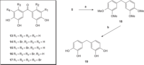 Scheme 3.  Reagents and conditions: (a) KOH-NH2NH2/(OHCH2)2. 110-190°C. 6 h. 86%; (b) BBr3. CH2Cl2.96%.