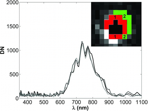 FIG. 9 Time-series imaging of the halogen emission through the long (4.4 km) open path in Sede Boker on the evening of 21 May, 2009. Inset: pixels with a relatively high emission used for analysis; 1: pixels with a heterogeneous signature; 2: pixels with a homogeneous signature. Averaged signals of pixels from both classes at 20:10 (black solid line), 20:30 (dark gray line), and 20:50 (light gray line). (Color figure available online.)
