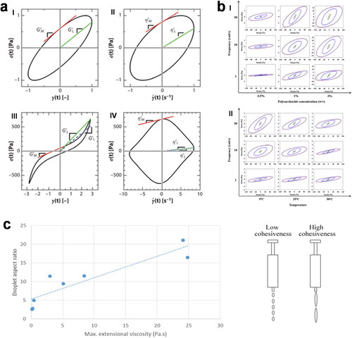 Figure 5. (a) Example plots of Lissajous-Bowditch curves showing the determination of G′M, G′L, η′M, and η′L under SAOS (I, II) and LAOS (III, IV) testing. (b) Lissajous plots for A. homolocarpum seed gum aqueous dispersions treated at (I) different concentrations (at 25 °C) and (II) temperatures (at 1% w/v). Line colors indicate different strains: red- 0.1%, green- 10%, blue- 50%, and purple- 100%. (c) Correlation between droplet aspect ratio and maximum extensional viscosity.(a), (b) and (c) are adapted with permission from Ewoldt, Hosoi, and McKinley (Citation2008) with permission from The Society of Rheology, Copyright 2008, Anvari, Tabarsa, and Joyner (Citation2018) with permission from Elsevier, Copyright 2018 and Hadde, Chen, et al. (Citation2020) with permission from Elsevier, Copyright 2020, respectively.