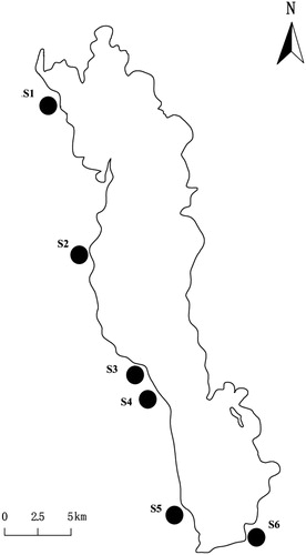 Figure 1. The six study transects along the littoral zone of Lake Erhai.