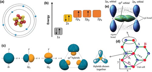 Figure 2. (a) Atomic structure of a carbon atom. (b) Energy levels of outer electrons in carbon atoms. (c) The formation of sp2 hybrids. (d) The crystal lattice of graphene, where A and B are carbon atoms belonging to different sub-lattices, a1 and a2 are unit-cell vectors. (e) Sigma bond and pi bond formed by sp2 hybridization.