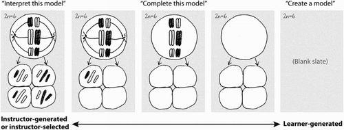 Figure 1. The spectrum of engagement with graphic bioscience models (from interpretation to creation): Quillin and Thomas (Citation2015, p. 3).