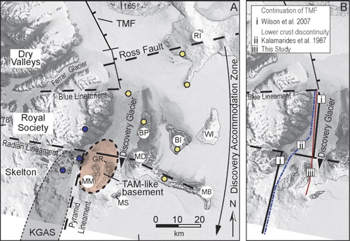 Figure 2 Structures and eruptive centres in Southern Victoria Land. A, Diagram of Southern Victoria Land showing the location of eruptive centres in the Erebus volcanic province including Mount Morning (MM), Mason Spur (MS), Gandalf Ridge (GR), Mount Discovery (MD), Minna Bluff (MB), Brown Peninsula (BP), Black Island (BI), White Island (WI), and Ross Island (RI). The Koettlitz Glacier Alkaline Suite (KGAS) is marked (thin dashed outline) along with the approximate area of the extension of Transantarctic Mountain (TAM)-like basement identified in this study (thick dashed ellipse). The Discovery Accommodation Zone is defined by Wilson (Citation1999) as a structural corridor where the axis of the Transantarctic Mountains is displaced between the Dry Valleys block and the Mulock Glacier (Fig. 1), incorporating both the Royal Society and Skelton blocks. The locations of lower crustal granulite xenoliths (Kalamarides et al. Citation1987) are shown as circles; those with tholeiitic (Ross Sea-like) compositions are light fills with black rims; those with calc-alkalic (Transantarctic Mountain-like) compositions are dark fills with black rims. The Transantarctic Mountain Front (TMF) is seismically mapped (after McGuiness et al. Citation1985; Barrett et al. Citation1995). B, A restricted section of the image in panel A. showing the potential extension of the TMF, and the approximate trend of the lower crustal discontinuity, south of the Blue Lineament. The TMF may follow the proposed lower crustal discontinuity trend inferred from lower crustal granulites.