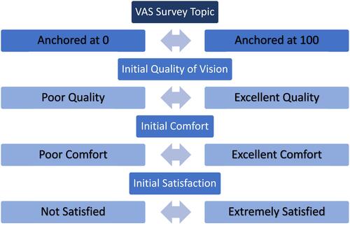Figure 2 Initial visual analog scale (VAS) surveys presented and text describing each anchor, as presented to participants.