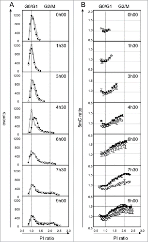 Figure 5. Kinetics of DNA demethylation after 5AzadC treatment in WM266–4 cells. Synchronized WM266–4 cells were treated (white circles) or not (black circles) with 5AzadC (0.32 μM) and collected repetitively at intervals of 90 min. For each sample analysis, the number of cells (column A) and their 5mC labeling (column B) were measured taking 20 contiguous regions according to their PI labeling (intervals of 5000 mfi units). PI and 5mC ratios were calculated using normalized data, as the means of sample fluorescence intensities (mfi) reported to the mfi measured in G0/G1 cells (peak point) in untreated cells at t0. Each circle represents mfis of at least 50 cells. 5mC ratios are reported as means of 2 independent experiments.