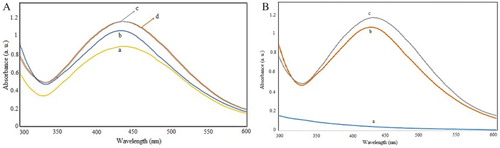 Figure 2. UV absorption spectra of (A) reaction mixture treated by different concentrations a: 1, b: 2.5, c: 4, d: 5 mM of AgNO3 and (B) at different times a: 0, b: 1 day and c: 5 months.