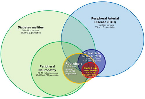 Fig. 3 The overlapping relationship of risk factors associated with non-traumatic limb loss in the United States. Estimates of total affected US population, US prevalence and annual incidence rates are shown.