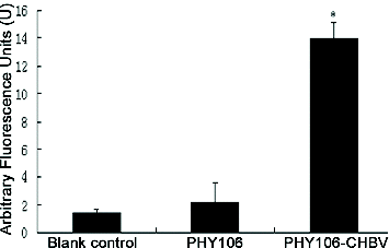 Figure 6. Effect of PHY106-CHBV expression on the activity of Caspase-3 in NHMC cells 48 h after transfection. The data are presented as of three independent experiments. *P < 0.05 (SPSS 17.0).