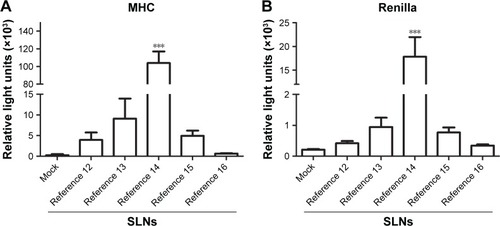 Figure 4 MHC (1000 ng) (A) and Renilla (100 ng) (B) plasmids were transfected into HEK293T via SLNs (references 12–16).Notes: Data are from three independent experiments performed in triplicate (mean ± SEM). ***P < 0.001. MHC, plasmid containing a minimal fos promoter and three copies of the MHC class I κB element. Composition of the engineered nanoparticles – reference Citation12: 400 mg stearic acid, 100 mg cholesteryl oleate, 600 mg octadecylamine, 100 mg poloxamer 188; reference Citation13: 300 mg stearic acid, 200 mg cholesteryl oleate, 600 mg octadecylamine, 100 mg poloxamer 188; reference Citation14: 200 mg stearic acid, 300 mg cholesteryl oleate, 600 mg octadecylamine, 100 mg poloxamer 188; reference Citation15: 100 mg stearic acid, 400 mg cholesteryl oleate, 600 mg octadecylamine, 100 mg poloxamer 188; reference Citation16: 0 mg stearic acid, 500 mg cholesteryl oleate, 600 mg octadecylamine, 100 mg poloxamer 188.Abbreviations: MHC, major histocompatibility complex; SEM, standard error of the mean; SLNs, solid lipid nanoparticles.