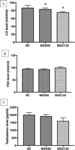 Figure 3. Effects of MSG on the levels of (A) luteinizing hormone (LH), (B) follicle stimulating hormone (FSH), and (C) testosterone levels. ap < 0.05, as compared to normal control group.