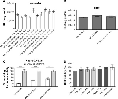 Figure 3 In vitro transfections with concentrated nanocomplexes retain transfection efficiency with lack of cytotoxicity.Notes: (A) A total of 1.5 mL of LYD nanocomplexes were concentrated using different amounts of dextran (100–300 g/L) and were used in luciferase transfections in Neuro-2A cells. (B) LYD nanoparticles before and after concentration (concentrated for 3 hours and 5 hours, 15 minutes) were used in luciferase transfections in HBE cells. (C) siRNA silencing from anionic PRL nanocomplexes (with peptide Y) before or after concentration made at a 4:3:1 molar charge ratio using siRNA targeting luciferase in Neuro-2A-Luc cells at 50 nM. 24 hours later, luciferase assays were performed. L2K/siRNA nanocomplexes were used as a positive control in all in vitro silencing experiments. (D) Viability of Neuro-2A cells following transfection for 24 hours with cationic LYD and anionic PDL and PRL nanocomplexes. Cationic nanocomplexes were made at a weight ratio of 1:4:1 (liposome:peptide:DNA) and the anionic nanocomplexes at a molar charge ratio of 4:3:1 (liposome:peptide:siRNA). The viability values were normalized to the untransfected control cells. The dextran concentration in the counter-dialyzing solution was kept constant (300 g/L) in Figure 3B–D. All transfections were performed in groups of six and mean values were calculated. Asterisks indicate comparisons of specific formulations with statistical significance (**P<0.01; ***P<0.001).Abbreviations: RLU, relative light units; LYD, liposome 1,2-di-O-octadecenyl-3-trimethylammonium propane (DOTMA)/1,2-dioleoyl-sn-glycero-3-phosphoethanolamine (DOPE), peptide Y, and DNA; HBE, human bronchial epithelial cells 16HBE14o–; siRNA, small interfering RNA; siRNA IRR, irrelevant control small interfering RNA; L2K, Lipofectamine® 2000; PRL, peptide Y or RVG-9R, siRNA, liposome LAP2; conc, concentrated; PDL, peptide Y, DNA, liposome LAP1; P, peptides; R, siRNA; D, DNA; h, hours.