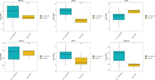 Figure 7 Expression of prognostic genes in responders and non-responders to anti-PD-1 treatment in the GSE126044 dataset. *Indicates statistical significance P<0.05; **Indicates statistical significance P<0.01.