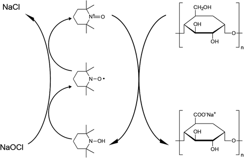 SCHEME 1 TEMPO/NaOCl-mediated oxidation of primary alcohol groups in carbohydrates to C6 carboxyl groups.