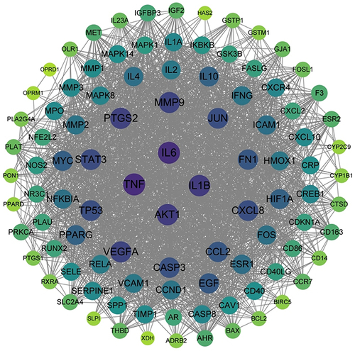 Figure 5 Core protein-protein interaction network.