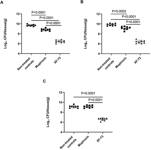 Figure 2 Efficacy of XF-73 dermal formulation (0.2% w/w) and mupirocin ointment (2%) in mice with experimental surgical wound infections caused by (A) S. aureus NRS384, (B) Low-level mupirocin-resistant strain S. aureus NRS384-MT-3, (C) High-level mupirocin-resistant strain S. aureus ATCC BAA-1708. Each datapoint corresponds to the log10 CFU/ wound tissue(g) measured. Data are presented as mean ± SD (n = 8 mice per treatment group).