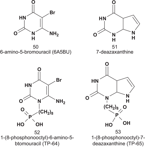 Scheme 29.  Multisubstrates for thymidine phosphorylase.