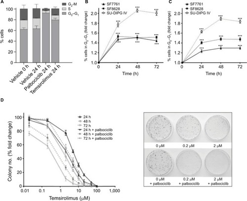 Figure 7 Palbociclib and temsirolimus treatments lead to cell cycle arrest.Notes: (A) DRAQ5 fluorescent dye was used to conduct flow cytometric cell cycle analysis on SF7761 cells treated with vehicle, 2 μM palbociclib, or 10 μM temsirolimus for 24 hours. (B) DRAQ5 cell cycle analysis of SF7761, SF8628, and SU-DIPG IV cells treated with 2 μM palbociclib demonstrated a significant increase in the percentage of cells in the G0–G1 phase over time. (C) DRAQ5 cell cycle analysis of SF7761 and SF8628 cells treated with 10 µM temsirolimus, and SU-DIPG IV cells treated with 0.2 μM temsirolimus, demonstrated a significant increase in the percentage of cells in the G0–G1 phase over time. (D) SU-DIPG IV cells were treated with temsirolimus, or the combination of temsirolimus and 0.5 µM palbociclib for 24–72 hours, and colonies were counted after 14 days. Representative plates following 72 hours treatment are shown (right). Data are the mean ± SEM of triplicate determinations in all cases. *p < 0.05, **p < 0.01, and ***p < 0.001 (compared with respective vehicle treatment).