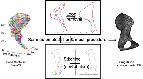 Figure 1. General filter and mesh base platform Citation[6], illustrated for an innominate bone. Bone contours, which are extracted from a CT scan (left), are filtered for outer contour information (center) and converted into an outer surface triangulation mesh (right). [Color version available online.]