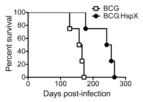 Figure 3 Safety of BCG:HspX in immuno-deficient mice. RAG-1-/- mice were infected i.v with 1 × 106 CFU of BCG control (open squares) or BCG:HspX (closed circles) and survival monitored over time. The significance of differences in survival was determined by Logrank-Mantel-Cox test (*p < 0.01). Data are representative of one of two individual experiments.