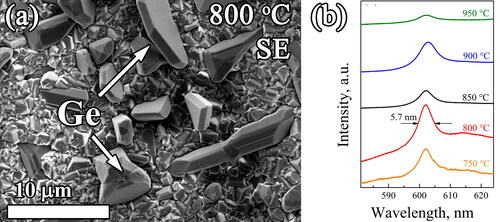 Figure 8. (a) SEM image (SE mode) of polycrystalline diamond-Ge film grown by an MPCVD in CH4-H2-GeH4 mixture at substrate temperature 800 °C. Larger grains are Ge crystallites. (b) PL spectra with GeV band around 602 nm for the composites produced at different substrate temperatures of 750–950 °C. The PL spectra are normalized to the diamond Raman peak area and shifted vertically for clarity [Citation118].