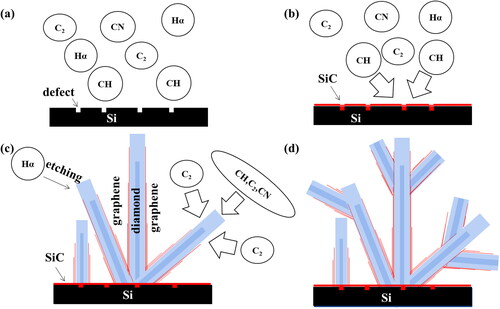 Figure 5. Model of VDG films growth. (a) Under the stimulation of microwaves, the carbon source and hydrogen are transformed into C2, CH, CN, Hα and Hβ. (b) CH and silicon substrate are preferentially combined at the defect to generate SiC. (c) CH promotes the nucleation of diamond based on SiC, and C2 and CN promote the formation of graphene. (d) Secondary nucleation occurs during growth.